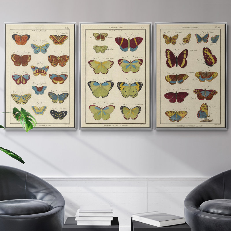 Histoire Naturelle Papillons I, ensemble de 3 toiles encadrées, H 40 po x l 78 po, Argent