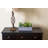 Succulent Garden with Concrete Planter