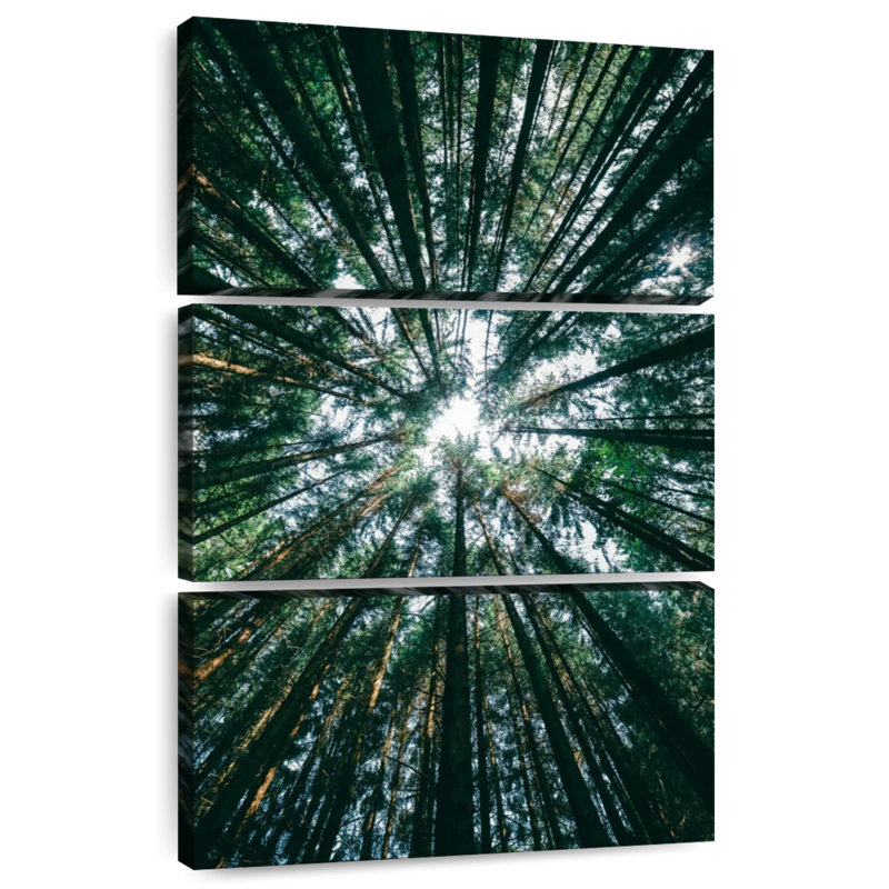 Harnek Pine Tree Grove, H 38 po x l 24 po