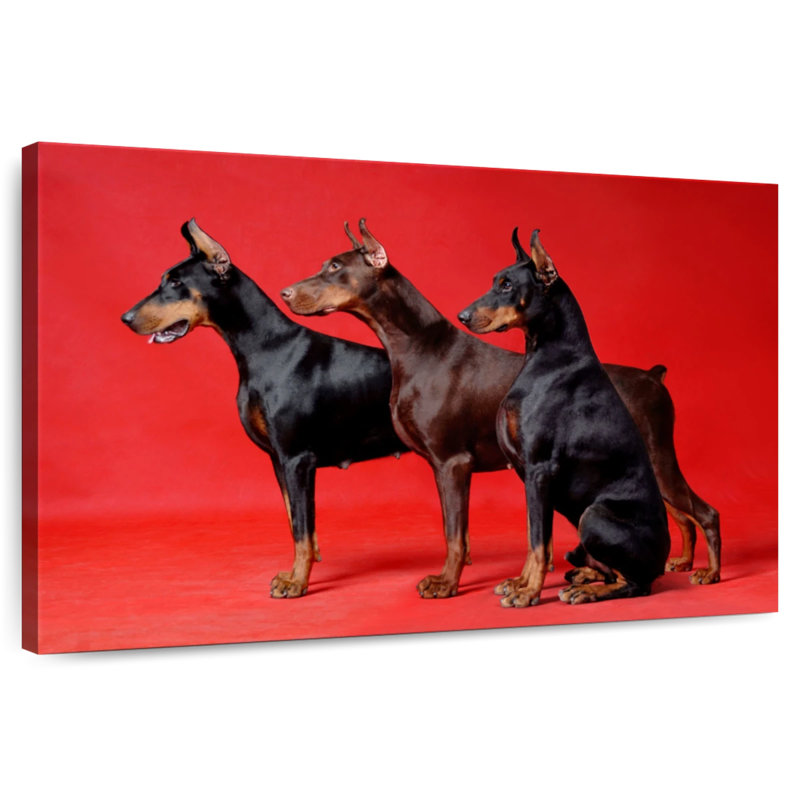 Doberman Trio, 8" H x 12" W