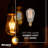 25W, ST15 Incandescent, Antique Dimmable Light Bulb, (2200K) E12/Candelabra Base