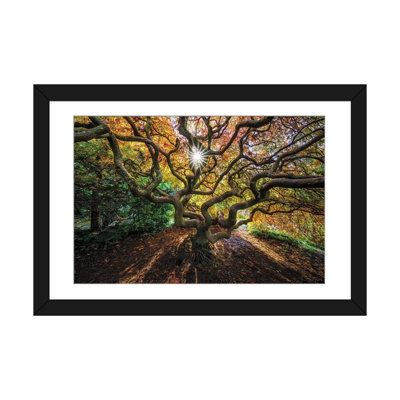 «Tentacles and Sun, Seattle, Washington I», reproduction de photo sur toile