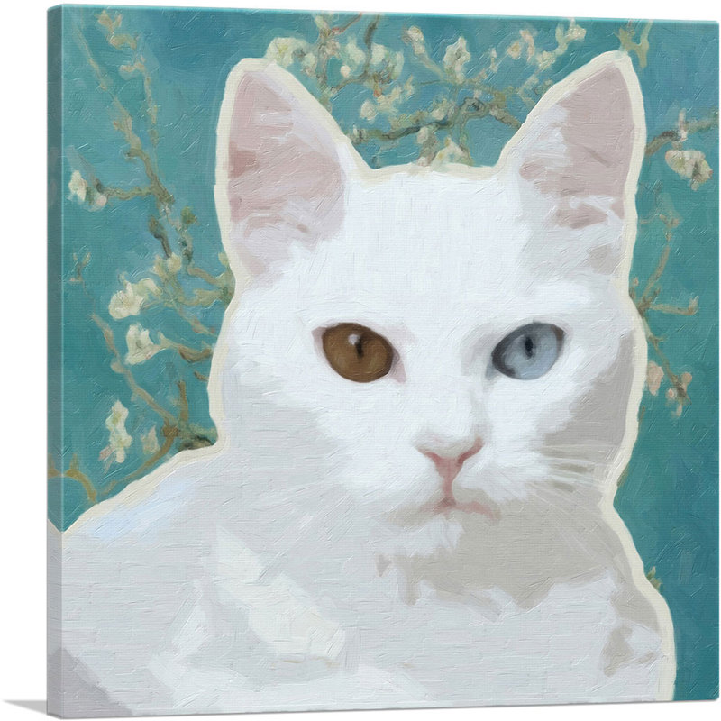 Angora Cat Breed - reproduction d'art sur toile tendue, H 12 po x l 12 po x P 1,5 po