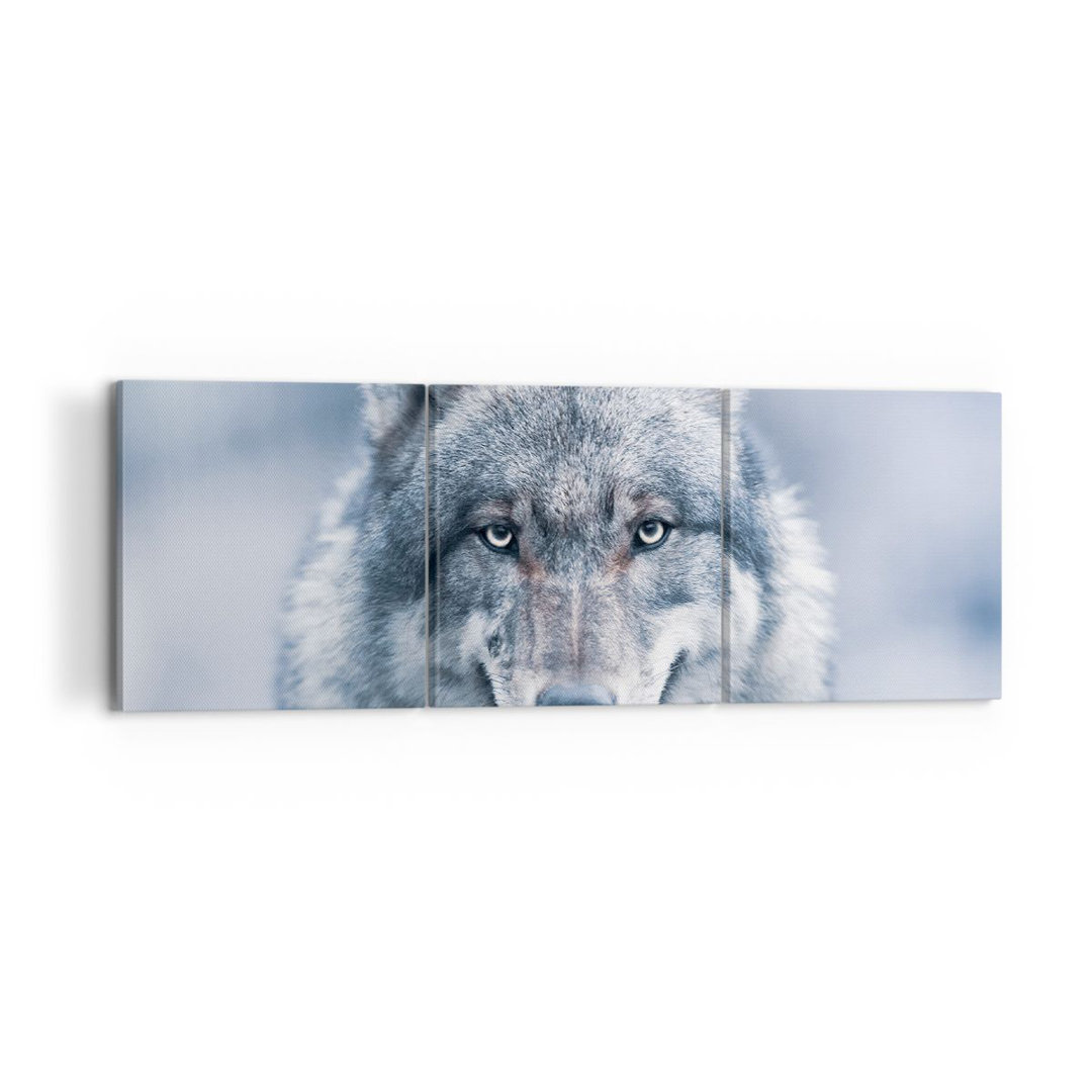 3-tlg. Leinwandbilder-Set Wolf Predator Wildness