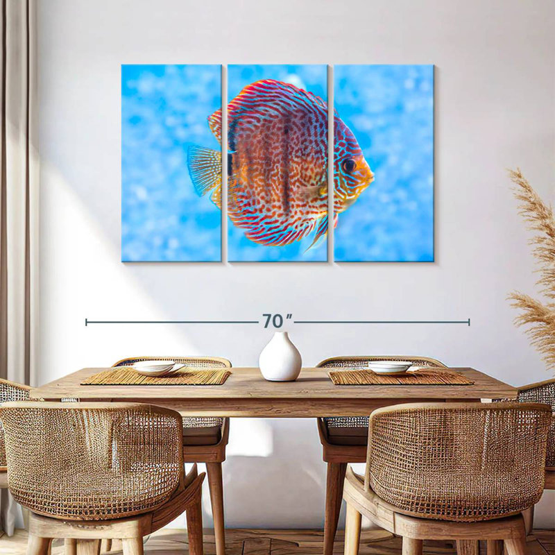 Brampt Freshwater Discus Fish, 36" H x 57" W