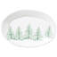 Melamine Lastra Melamine Platter