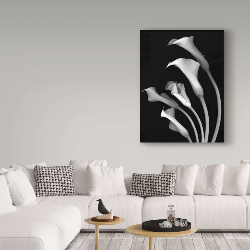 «Calla Lilies 3 Black and White» par Dosta, impression sur toile tendue, H 32 po x l 24 po x P 2 po