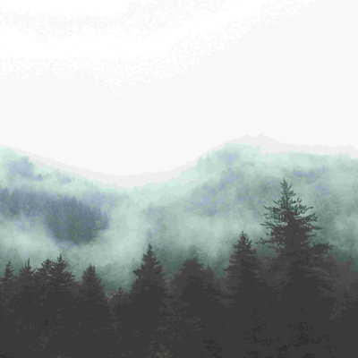 Photographie de Foggy Mountain par - on