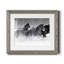 Winter Roundup I - Photographie avec cadre-1226318055-1226318060