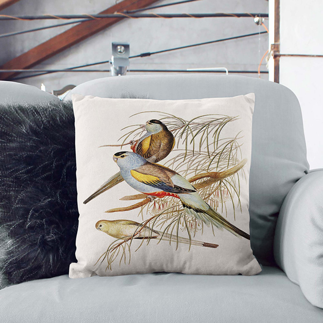 Golden-Backed Parakeets by Elizabeth Gould Cushion with Filling