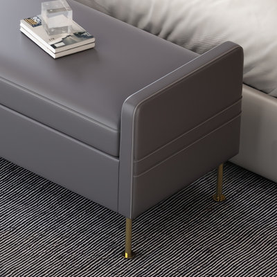 Banc de rangement rembourré Temeshia
