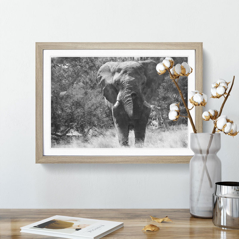 The Majestic Elephant - Framed Print, 45cm H x 63cm W x 2cm D, Oak