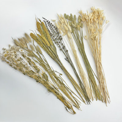 Real Preserved Mixed Bouquets Mix 2 Small - Med - Large