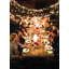 Edison the Petit Wireless Table Lamp