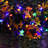 Phillips Electric String Lights with Multicolor Globes