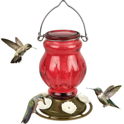 Mangeoire en verre Ruby Visions