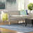 Vann Indoor Rug-1661138128