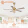 Amboise 52'' Ceiling Fan with Light Kit