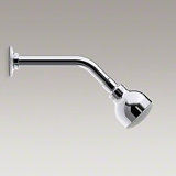 Coralais 2.5 GPM Full/Standard Fixed Shower Head