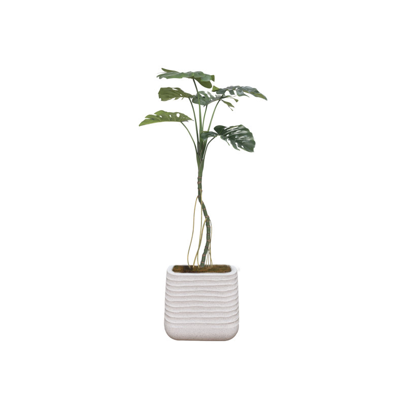65.57 " H Faux Philodendron Plant, White