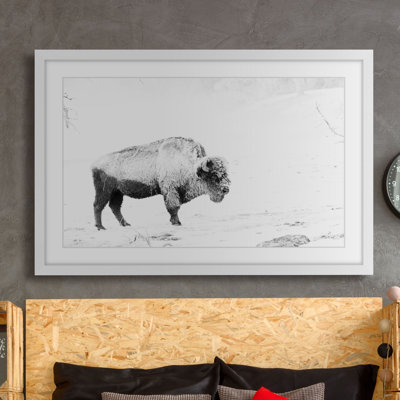 « pâturage bison », reproduction de photo sur papier encadrée