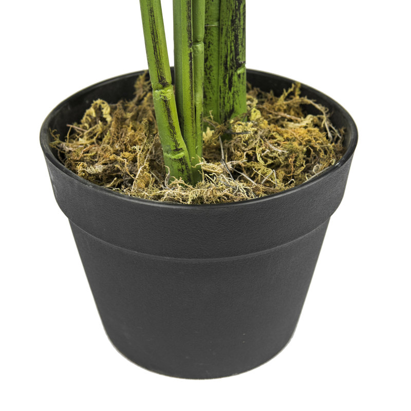 Baskett 60'' Faux Banana Leaf Tree in Pot