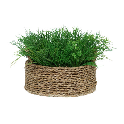 10" Seaweed in Natural Seagrass Basket