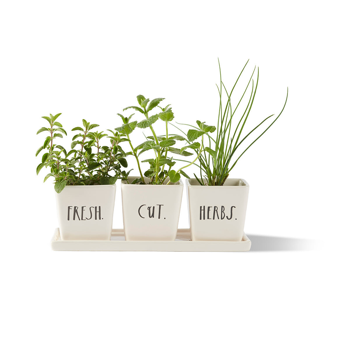 New Rae Dunn Fall Planters, shops Set of 4