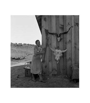 «Pauvreté avec des crânes de bœufs et de bœufs» par Dorothea Lange, reproduction de photo