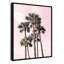 «Pink Tropics» par Natalie Carpentieri-92737459-92737460