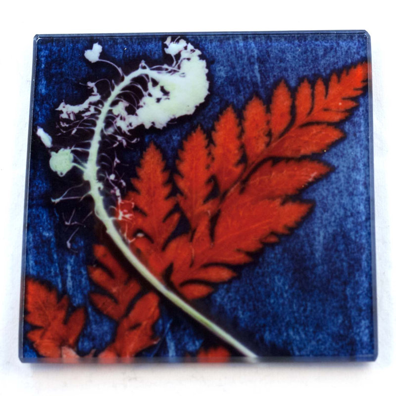 Glass Square 1 Piece Coaster
