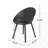 Dining Chair(Set Of 2)-1351721555