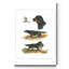 "Gordon Setter", reproduction d’art sur toile tendue-1599578512