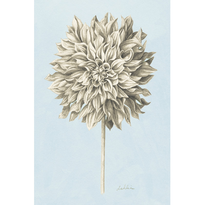 Botanical Study III by Grace Popp - Wrapped Canvas Print, 30cm H x 20cm W 