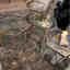 Photos des clients 1 de 1