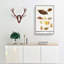 Butterflies & Moths by A.B. De Boodt - Wrapped Canvas-55362562