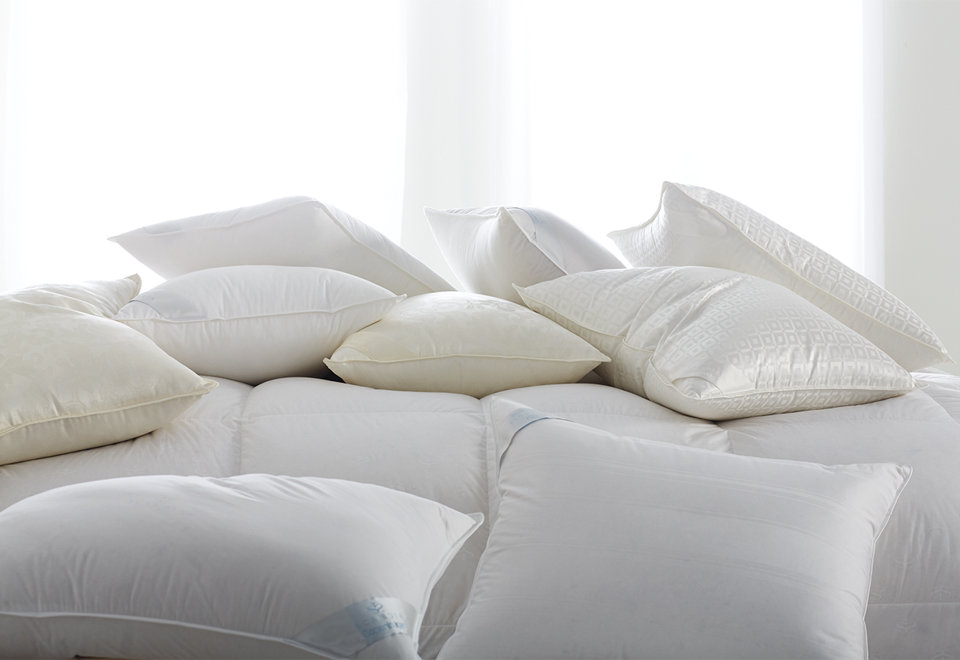 Standard Bed Pillows
