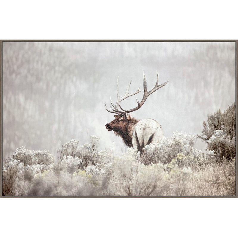Misty Monarch Canvas Wall Art
