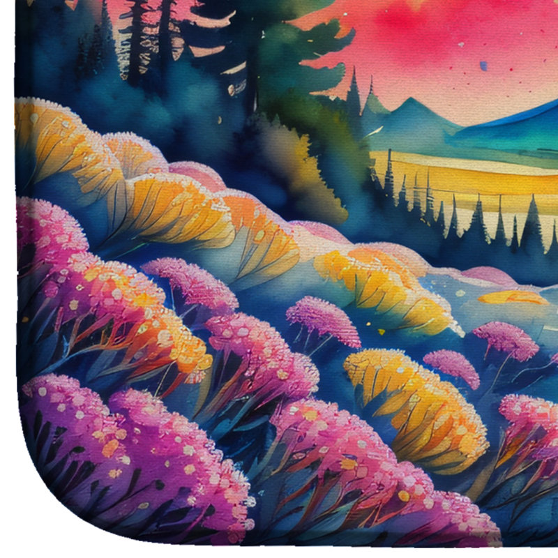 Tapis de séchage