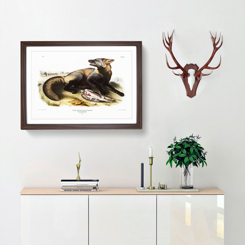 American Cross-Fox by J.W. Audubon - Picture Frame Painting Print, 27cm H x 36cm W x 2cm D, Walnut Framed