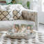 Lacquer Decorative Tray-1020640922-1020640923