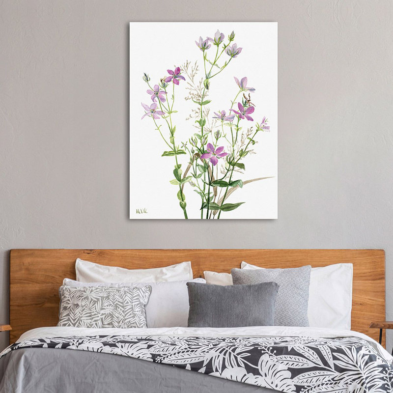 Sabbalia Angularis, 1880 by Mary Vaux Walcott - Art Prints on Canvas, 100cm H x 70cm W x 4cm D