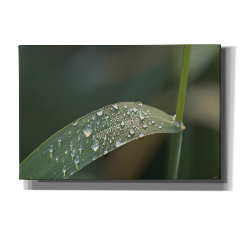 "Textures 20" par Gordon Semmens, H 12 po x l 18 po x P 0,75 po
