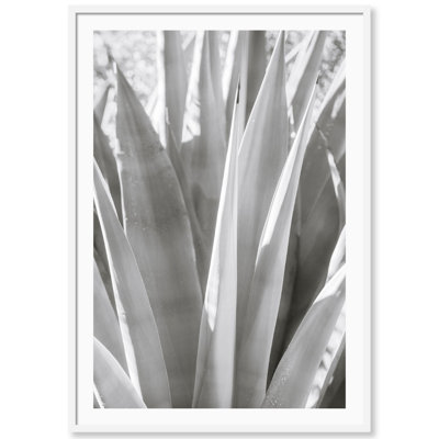 Muted Cactus Print by Carly Tabak