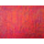 Rising Sun Print by Drew Gaffney-1567638502
