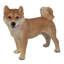 Figurine pour chien shiba shiba debout