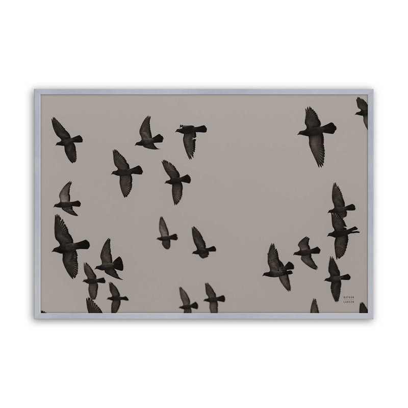 «Flock I» par Nathan Larson, reproduction d'art, H 12 po x l 18 po, Argent