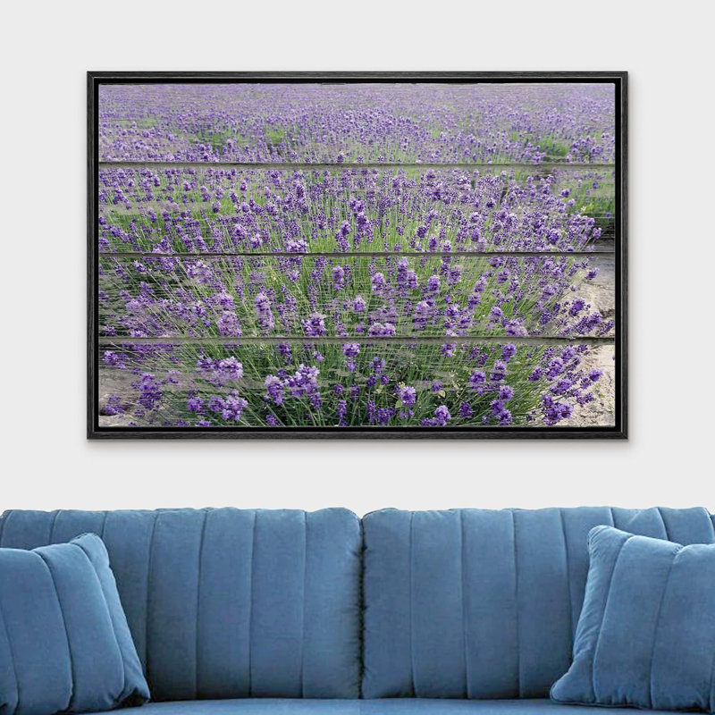 Flower Blossom " Purple Lavender Field ", Black Floater Framed, 16" H x 24" W x 2"D
