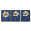 Étude florale, série XXII, ensemble de 3 estampes numériques, prêt à accrocher-261369247-261369246