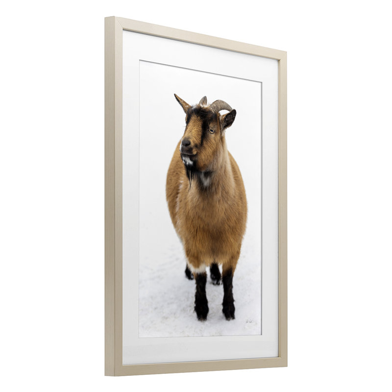 «Brown Little Goat», reproduction sous verre encadrée par Deborah Revell, H 20 po x l 14 po, Cadre de récolte en pin